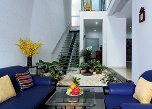 Trong nhà phố có một vườn cây mát